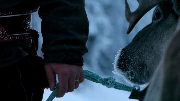 aatsinki arctic cowboys reindeer herding finland