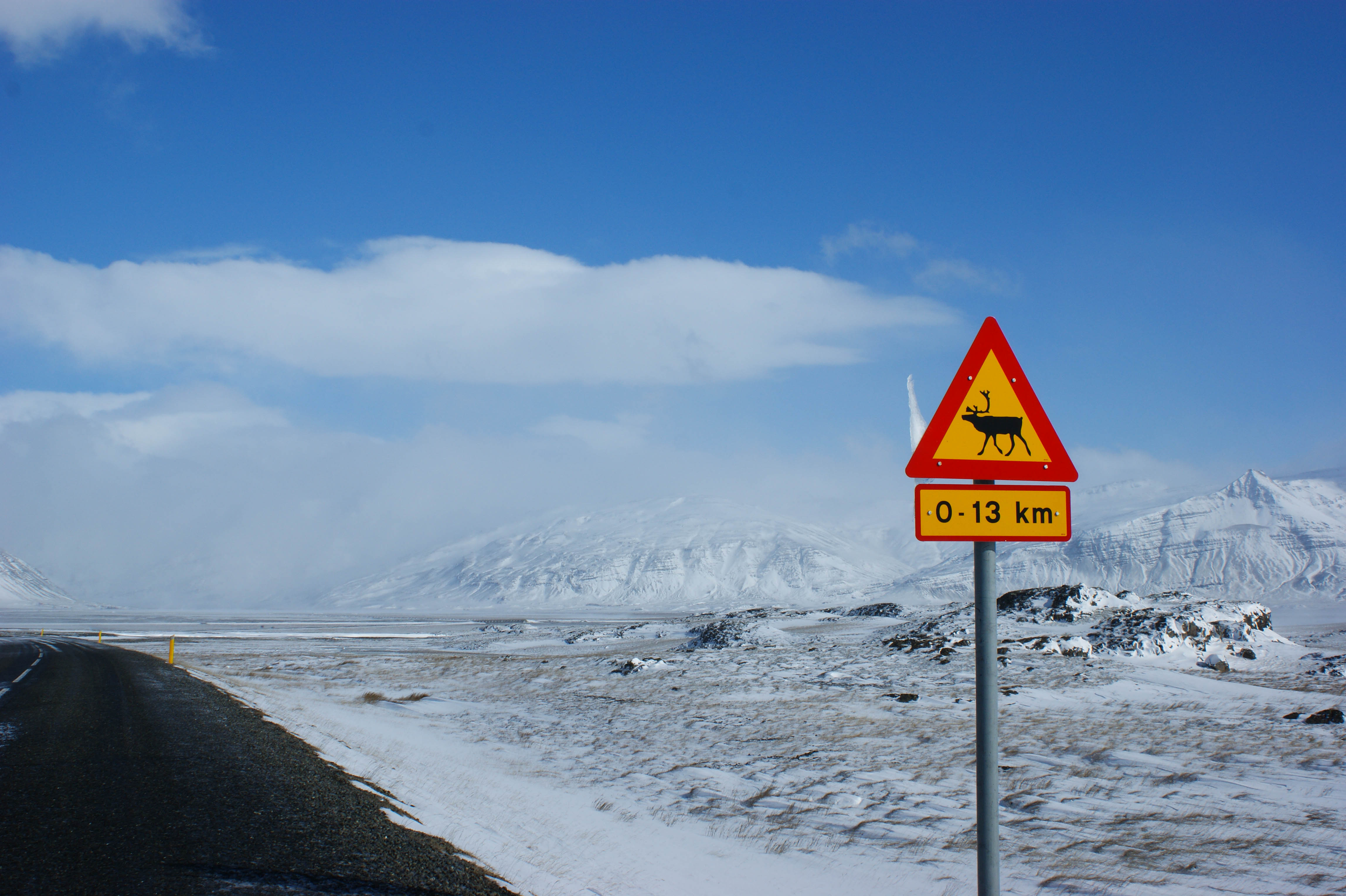 roadtrip iceland road signs