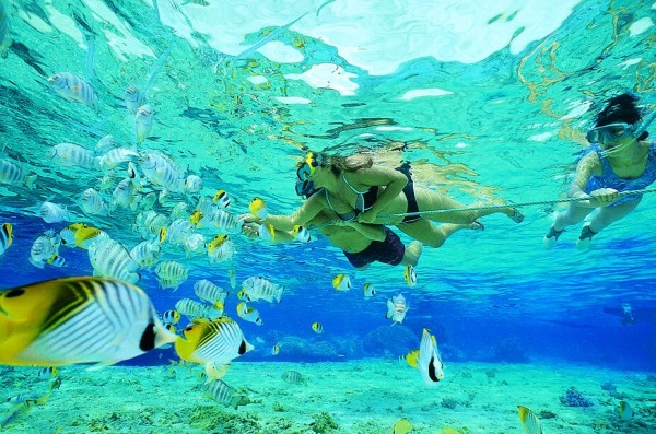 Snorkeling with fish