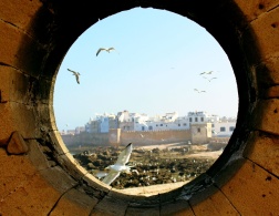 About Camels & Kitesurfers â€“ Memories of Essaouira.