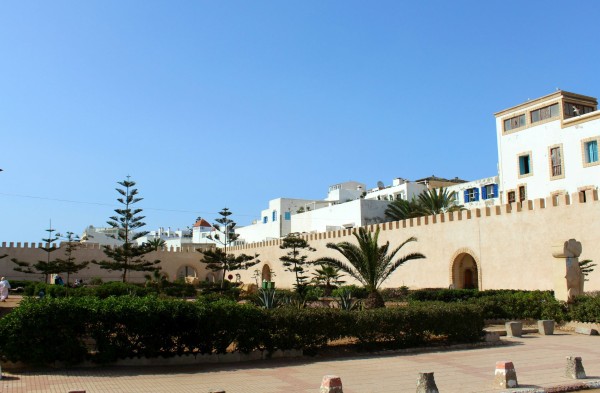 Essaouira Camels & Kitesurfers Annika Ziehen - 21