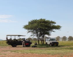 Luxury Safari in the Serengeti