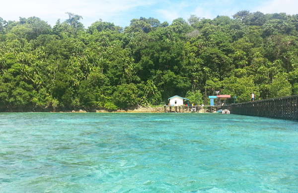 Hidden Paradise The Derawan Islands, Indonesia