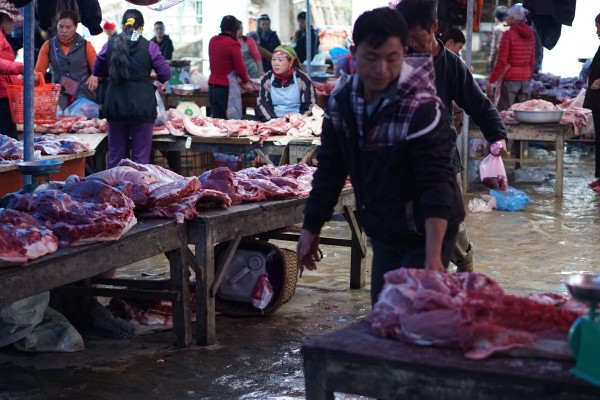 The Sunday market in Bac Ha, Vietnam - Liv Clarke 2