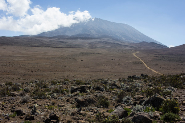 The Travelettes Guide to Mt Kilimanjaro, by Kathi Kamleitner | travelettes.net