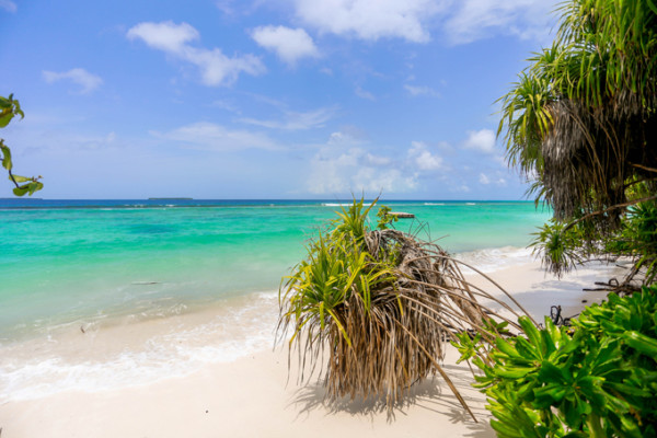 coco palm resort maldives