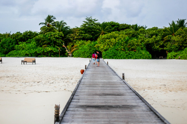 coco palm resort maldives