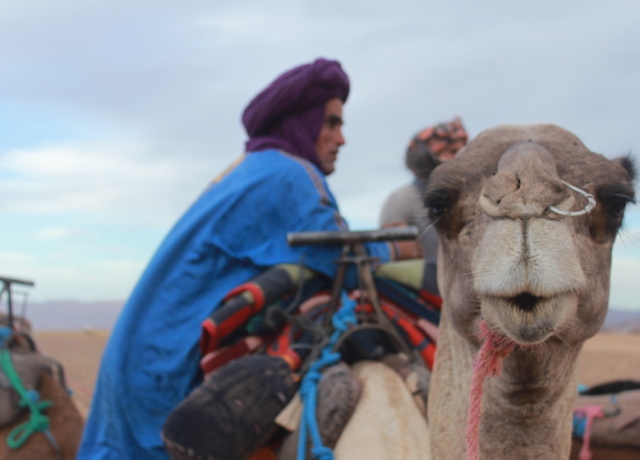 My Desert Adventure - Discovering Morocco with a Group Tour