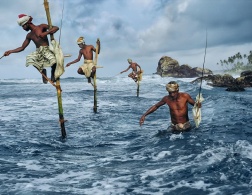 The men behind the pictures : five world photographers who are like no other