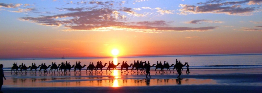 Stoke_Morocco_Camel_Beach