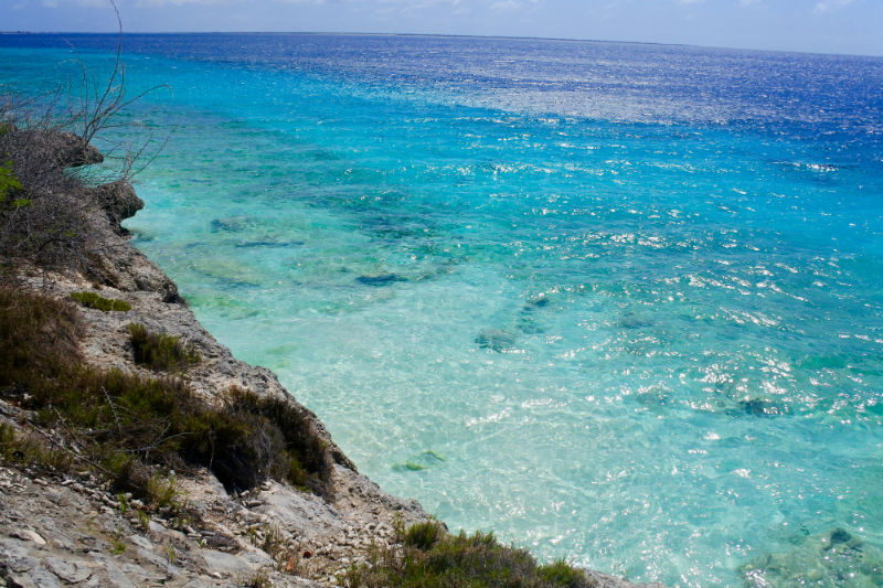Pack Your Bags for Bonaire