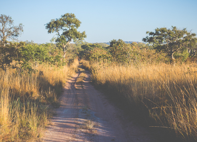 The Ultimate African Safari on a Budget