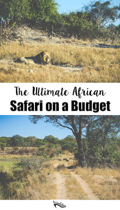 Budget Safari - Kafue National Park - Kathi Kamleitner