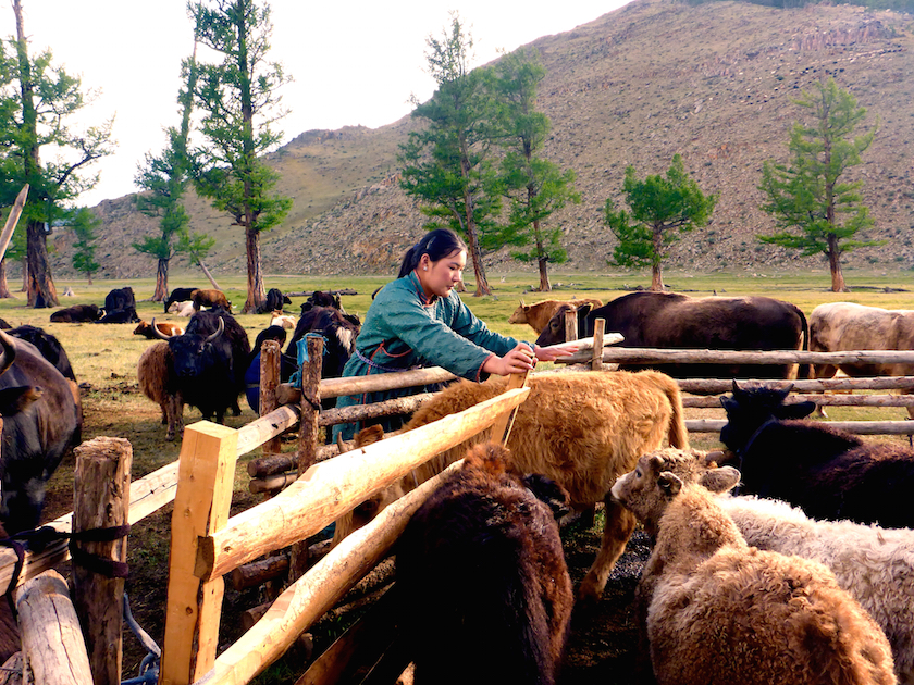 On the Bucket List: Naadam Festival, Mongolia | Travelettes.net