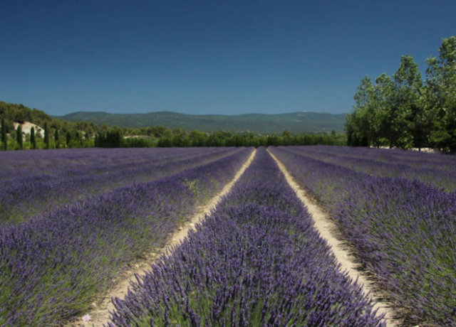 7 Ways to Enjoy Life in Provence, France