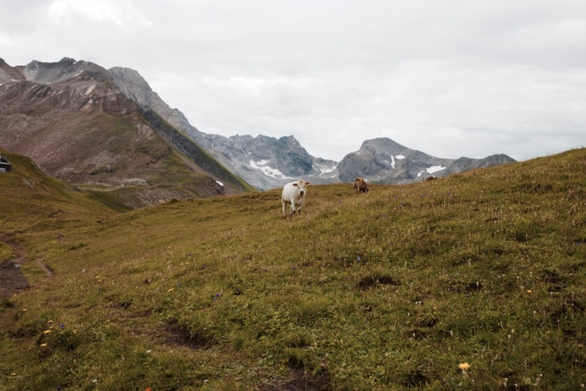 Caroline_Schmitt_Travelettes_Austria_Alps_Hiking - 12