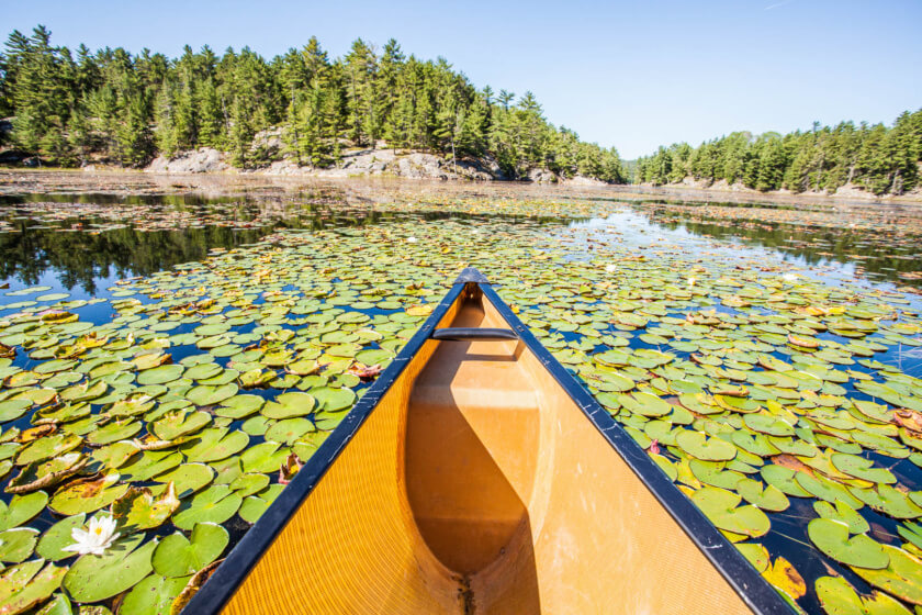 A wooden cabin in the woods, canoeing on a crystal clear lake and backcountry camping to spot moose - Killarney delivers a picture book experience of Canada!