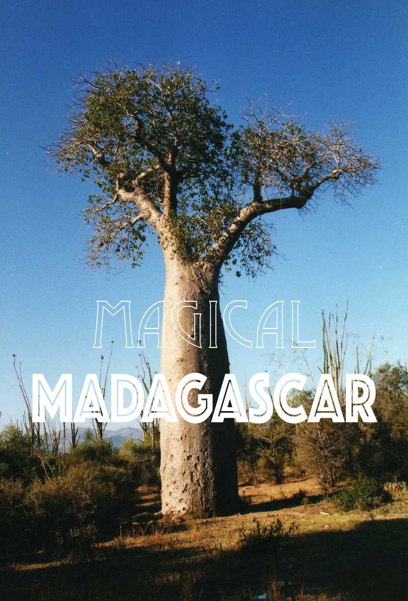 Some trips change your life and your perception of the world forever - a trip to Madagascar, with its'at the end of the world' reputation is one of them.