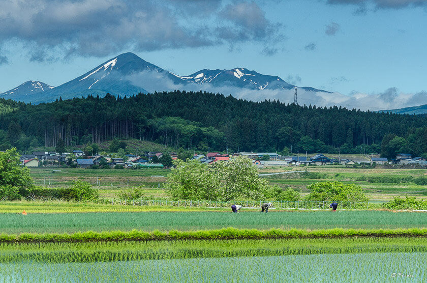 Hundreds of miles from the mega-city Tokyo lies the Aomori Prefecture - home to vast expanses of mountains, wild hot springs and luxurious winter resorts.