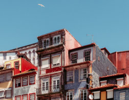 How to Spend a Perfect Day in Porto