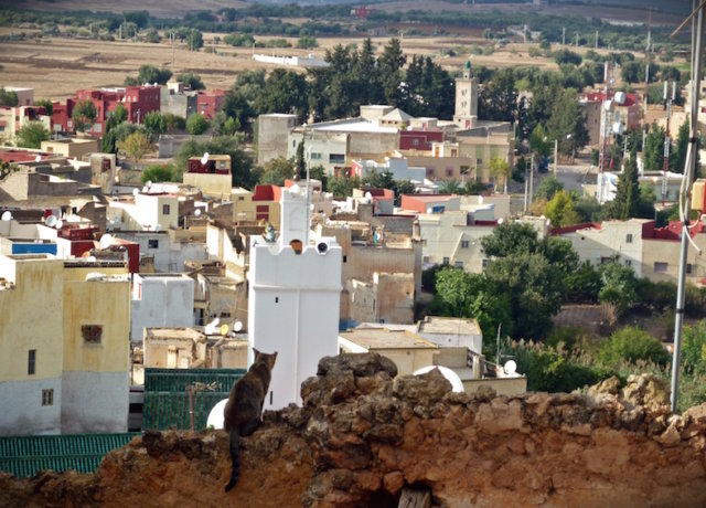 A Trip to Bhalil: Going off the beaten track in Morocco