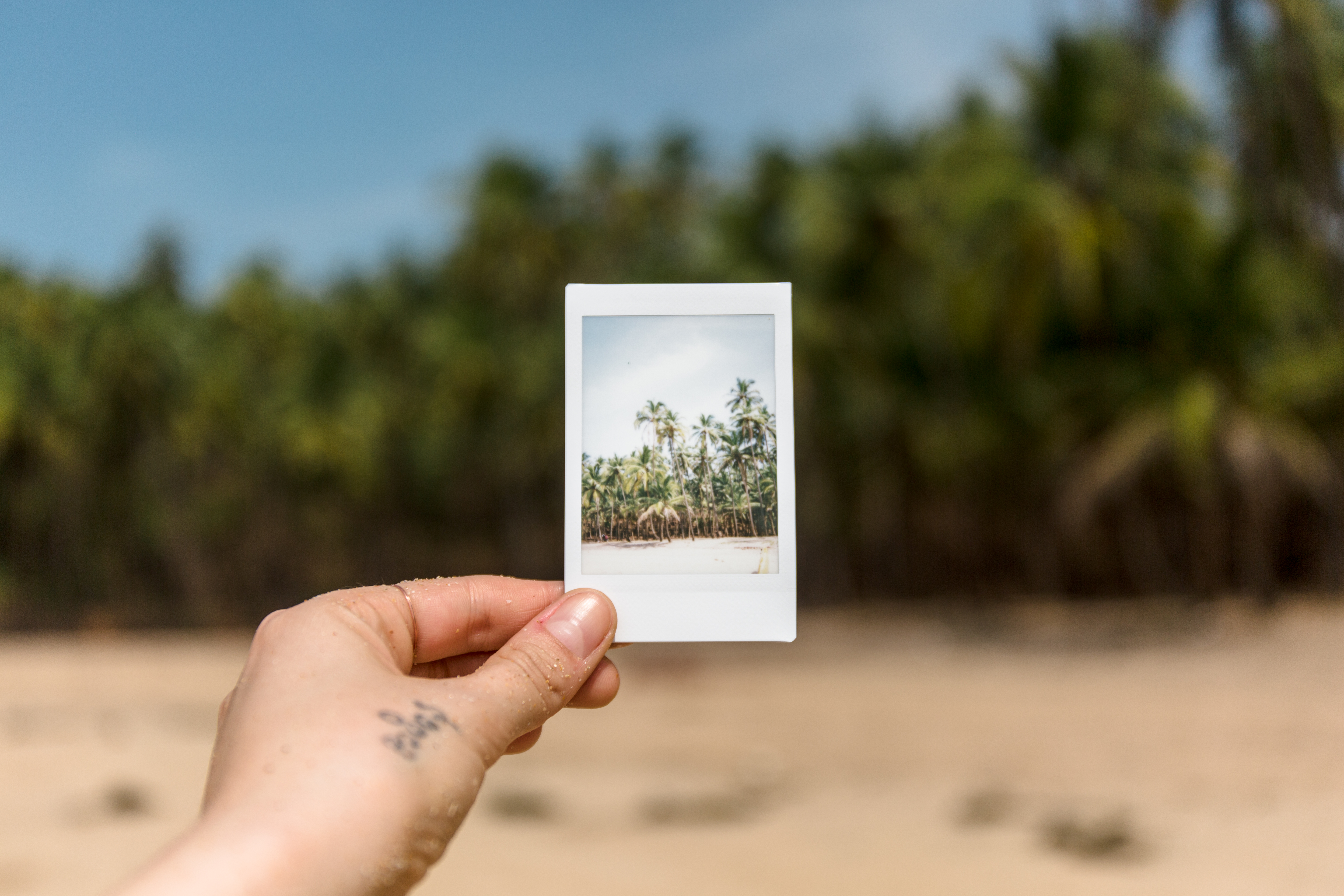 Снимки с Polaroid перевести в электронный вид без рамок