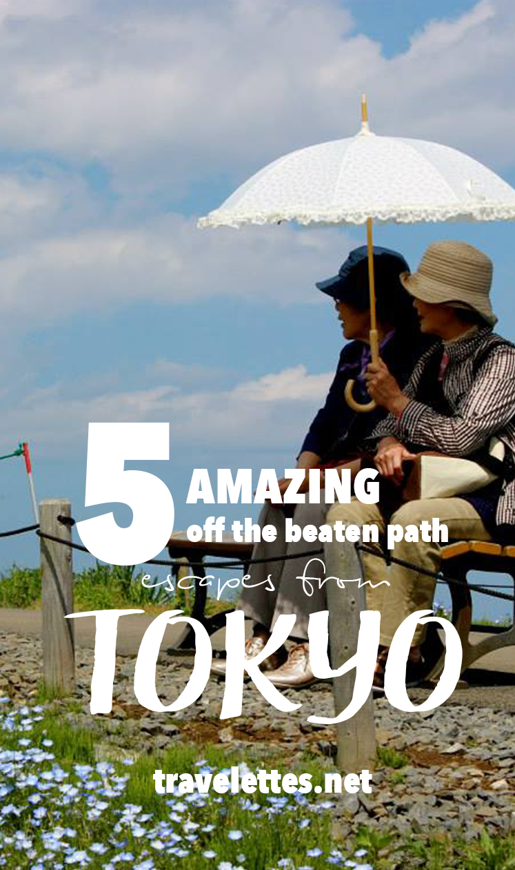 Need to get away from the big city and want to explore places no guidebook has mentioned? Try these five amazing off the beaten pack escapes from Tokyo!