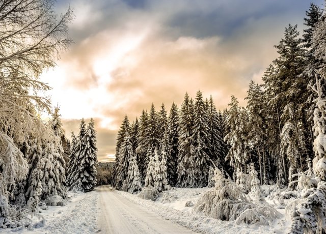 10 Must Have Experiences in Sweden in Winter