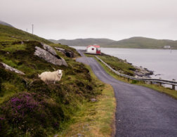 How to visit 12 Scottish islands in 2 weeks