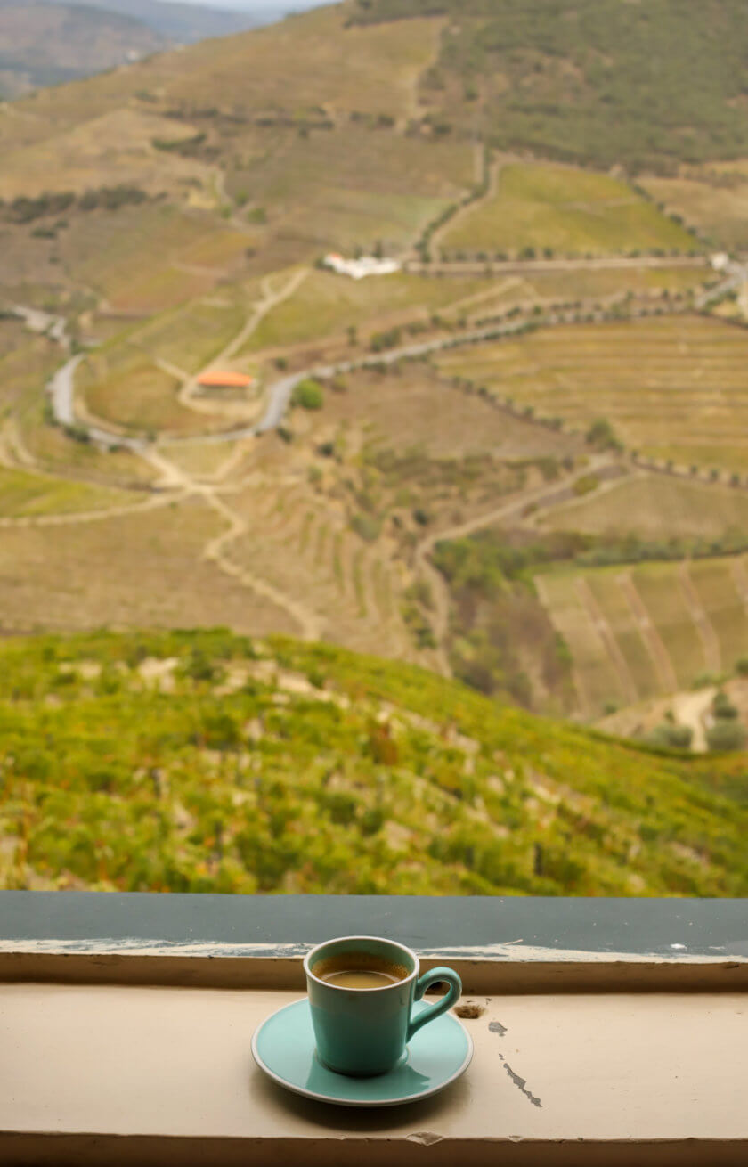 Picture Perfect Wine Country… in Portugal